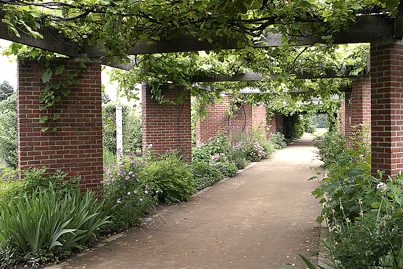 Chicago Botanical Garden, Glencoe, IL - 7/1/2006