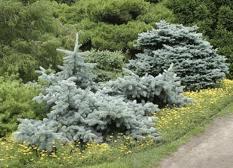 Chicago Botanical Garden, Glencoe, IL - 7/1/2006