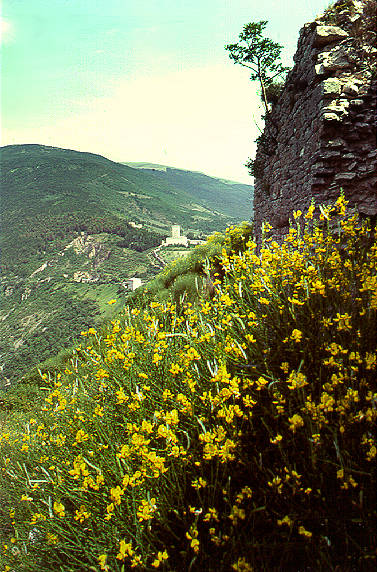 Hillside, Assisi, Italy