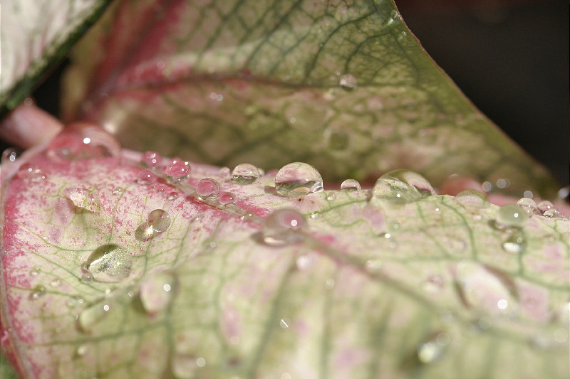 After a downpour