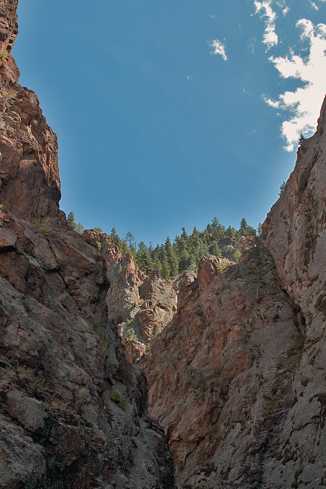 View from the base looking up