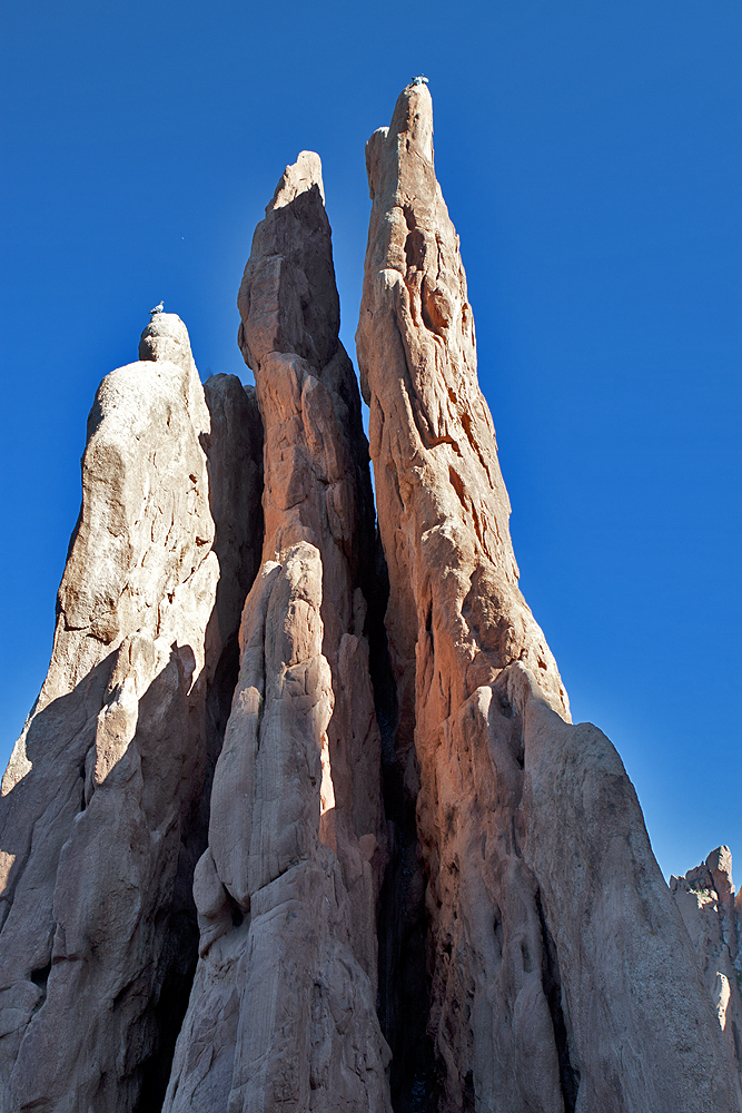 Garden of the Gods, Colorado Springs, CO