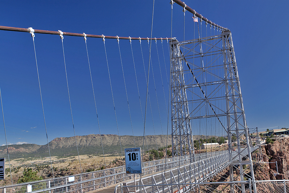 Bridge and cables