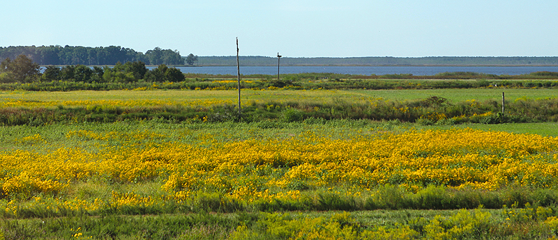 A lot was like this - the water was visible, but farms between the road and water; no egress