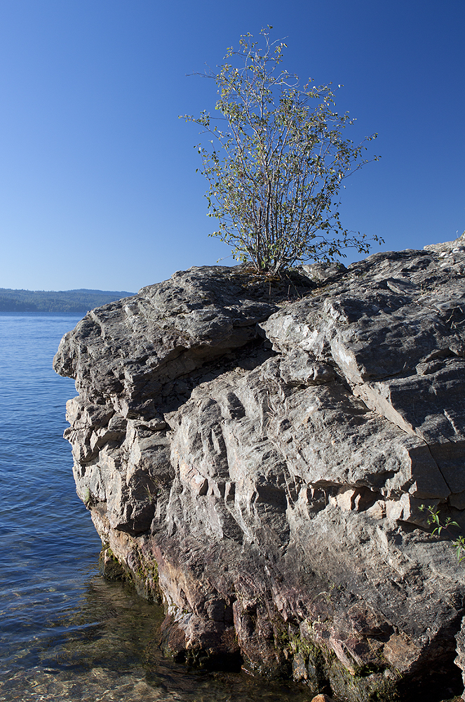 Tubbs Hill, Coeur d'Alene, ID