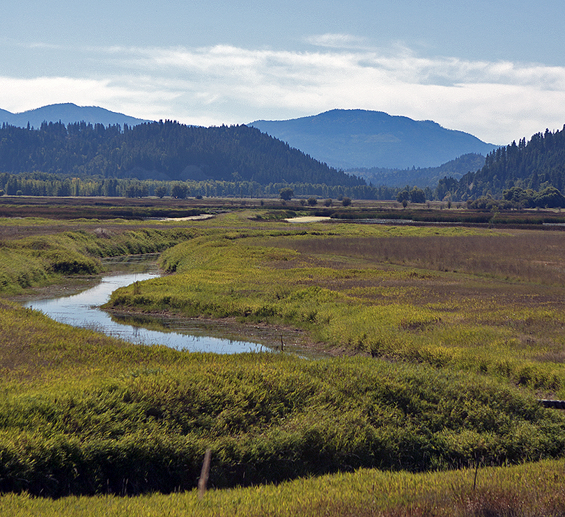 Marsh to mountains