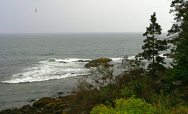 Acadia National Park, ME