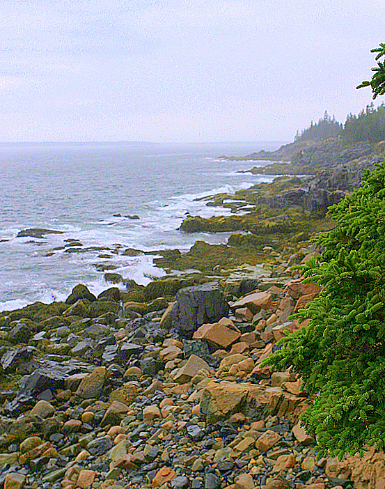 Acadia National Park, ME