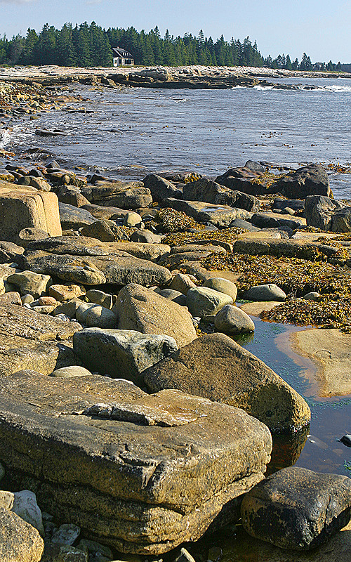 Coastal area of park