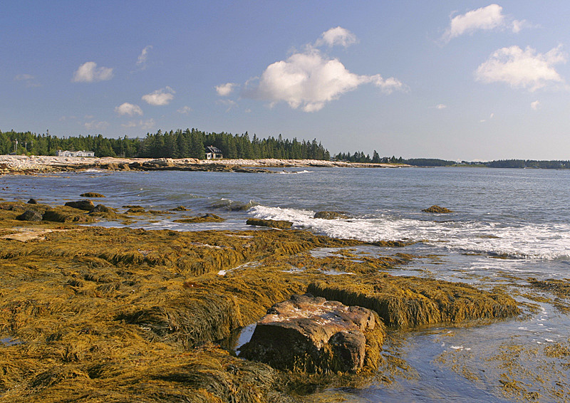 Low tide