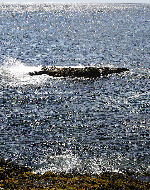 Acadia National Park, ME