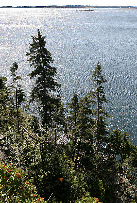 Acadia National Park, ME