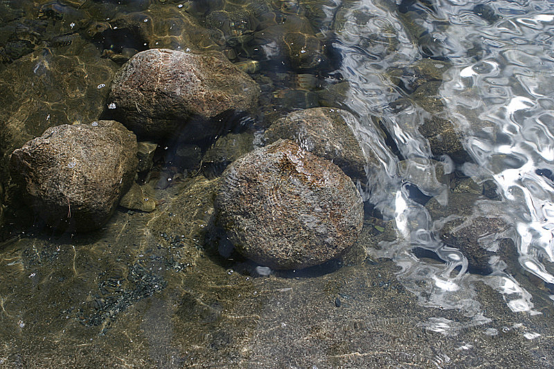 Acadia National Park, ME