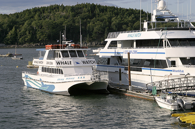 Bar Harbor, ME