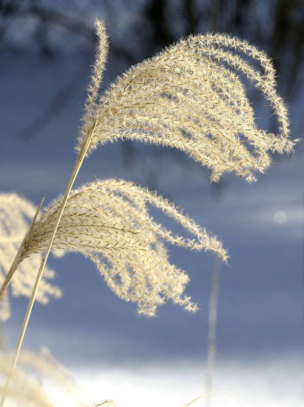 A sunny winter day