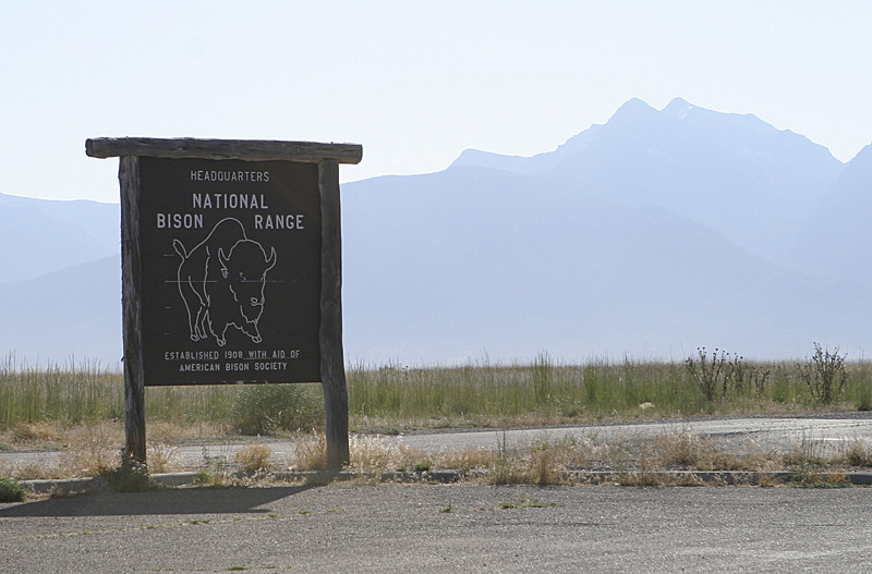 Inside the park