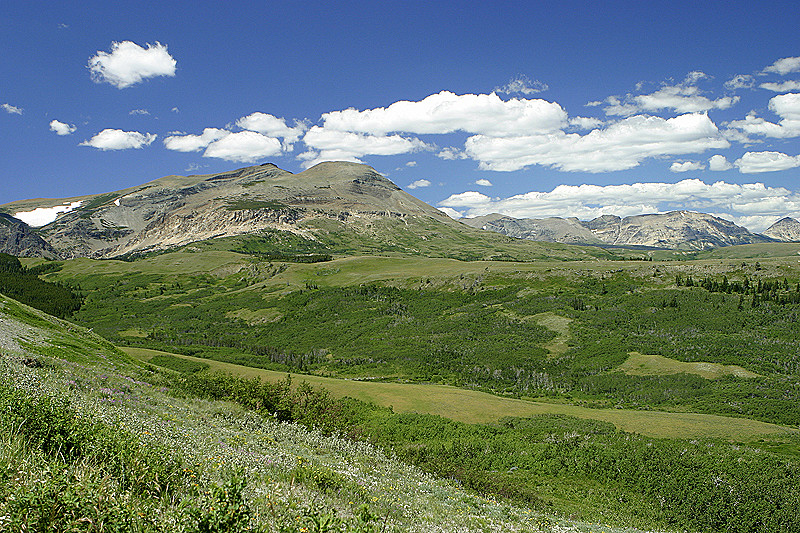 South of Saint Mary, MT