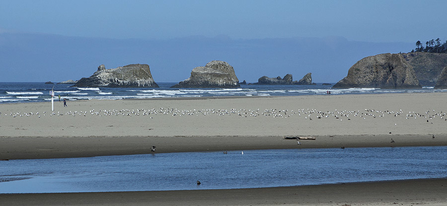 South of Astoria, north of Cannon Beach