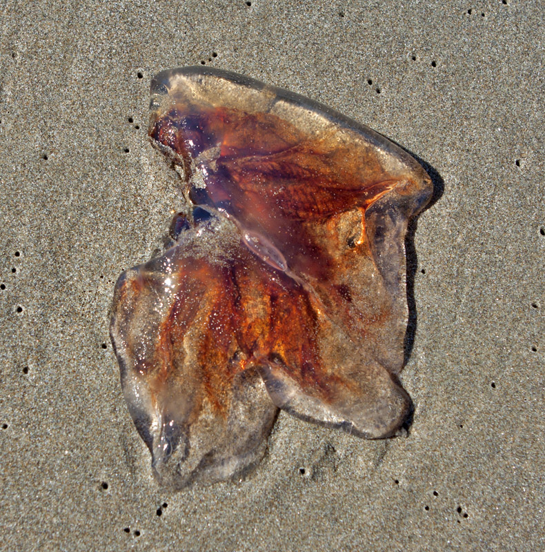 Cannon Beach, OR