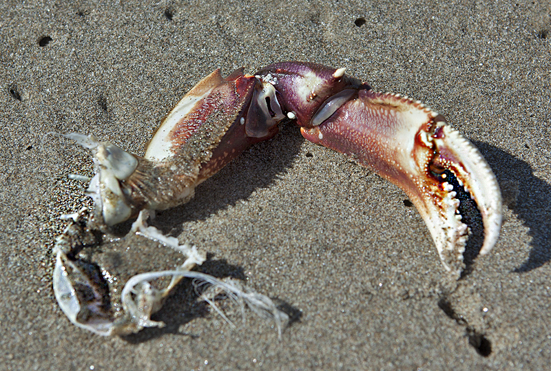 Cannon Beach, OR