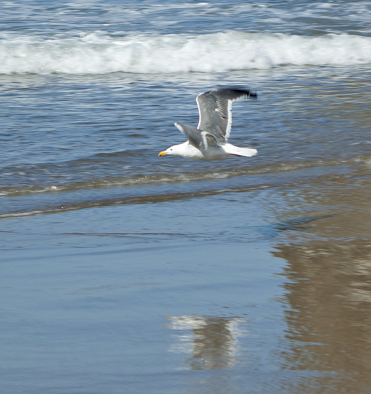 Cannon Beach, OR