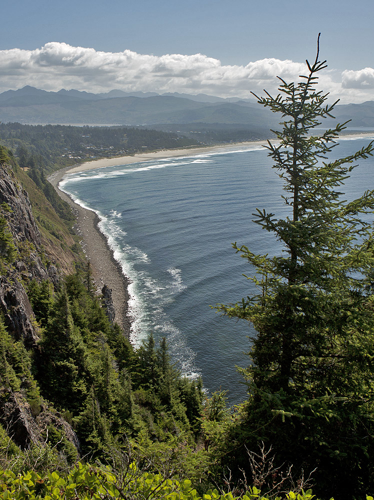 Looking south from bluff