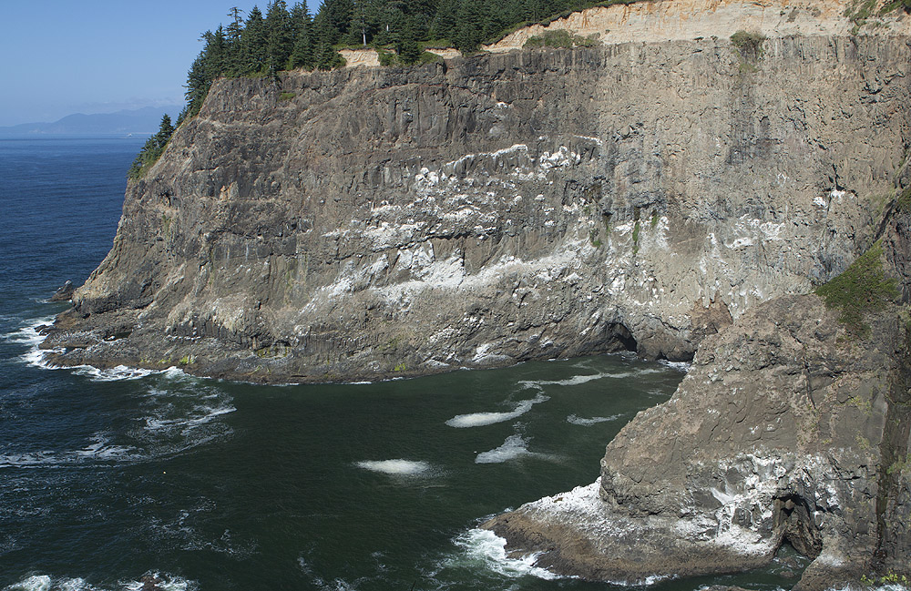 White on the rocks is bird guano; hard to see the birds to distance