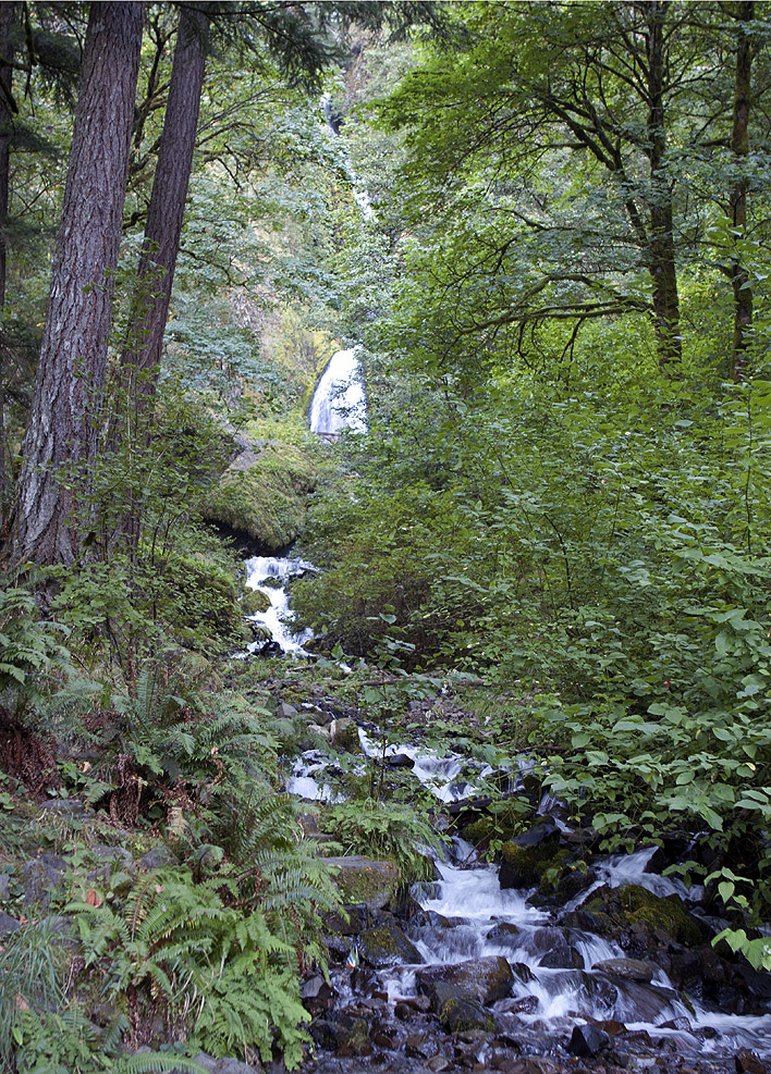 Columbia River Gorge, east of Portland, OR