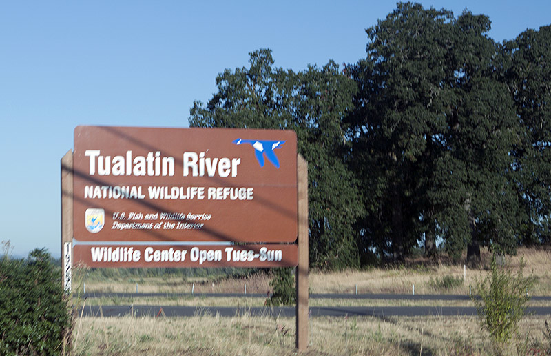 South of Portland, OR, on way to Willamette Valley - shot from car, blury