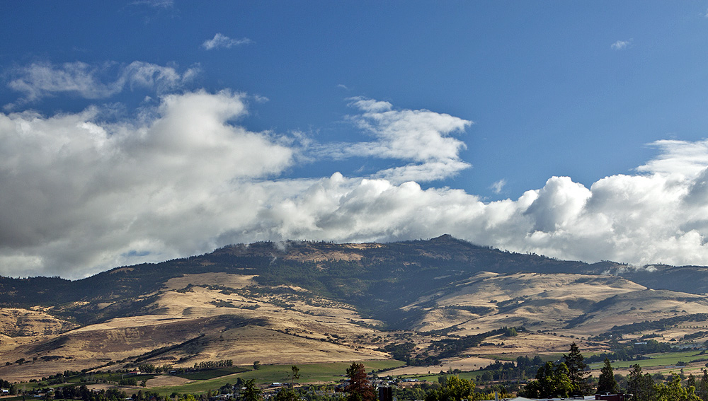 Mix of green and brown is consistent im the wine valleys we visited