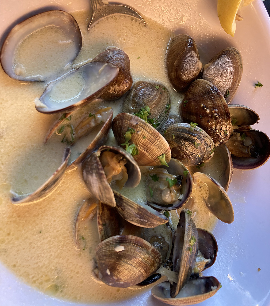 Smallish clams, but great clames (butter. garlict)