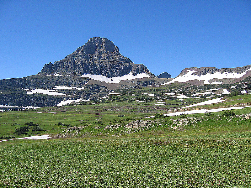 From Logan Pass, Glacier National Park, MT