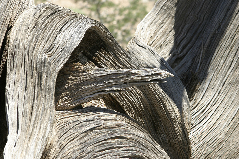 Ghost Ranch, NM - trail to Chimney Rocks