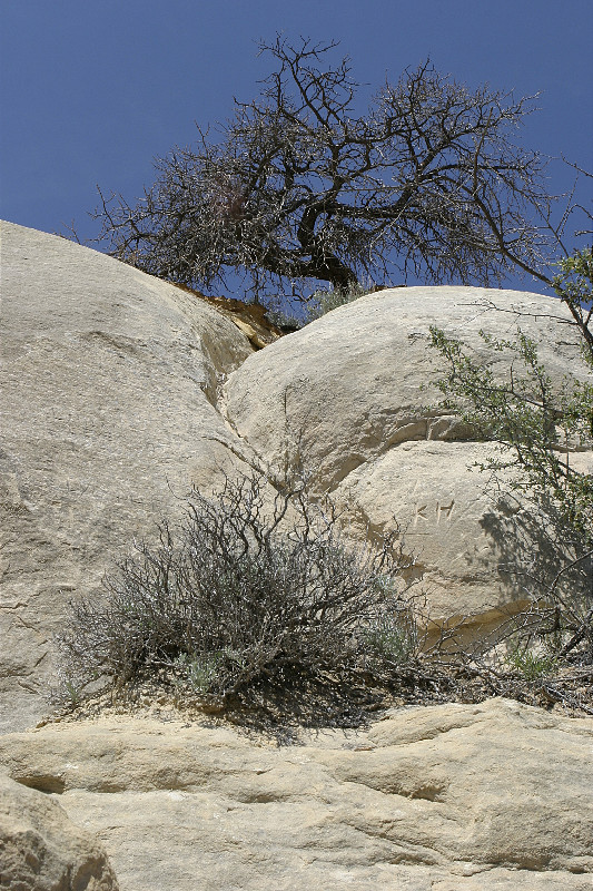 Chimney Rocks, Ghost Ranch, NM