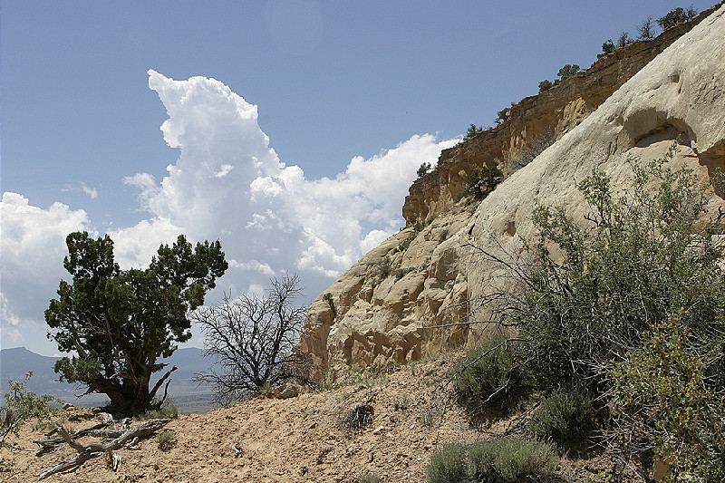 Chimney Rocks