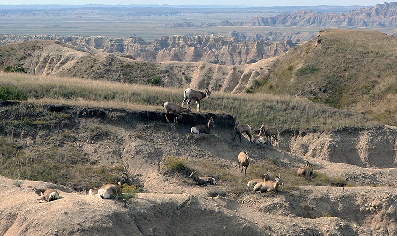 Badlands National Park, SD