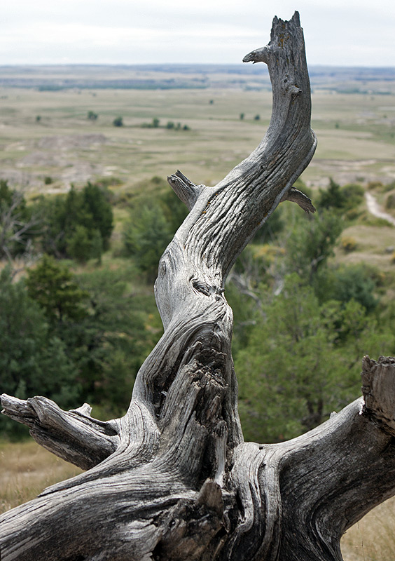 Badlands National Park, SD