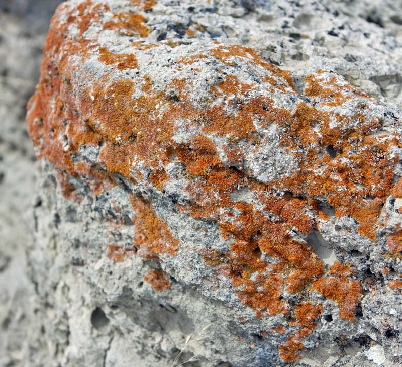 Badlands National Park, SD - a rare detail shot