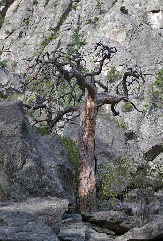 Devils Tower National Monument, WY