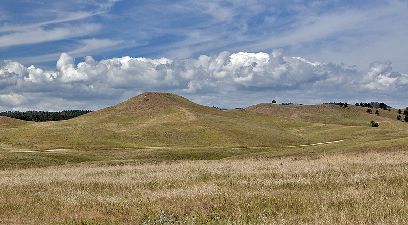 Custer State Park, SD