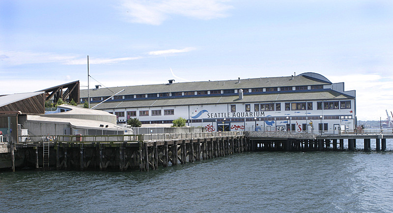 Right on a wharf on Elliot Bay