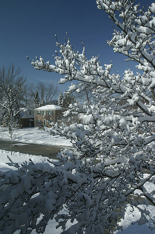 Yep, blanket of snow...second day of spring