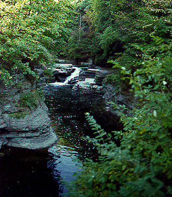 Creek, Watkins Glen, NY