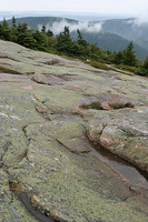 maine2008_0447.jpg