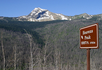 montana_256.jpg