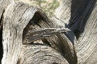 santafe_074.jpg