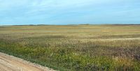 sd2013_0284.JPG