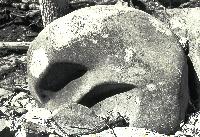 skull_rock.jpg